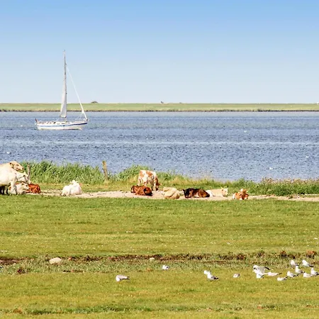 Tatil Evi Lieblingsplatz Olpenitz