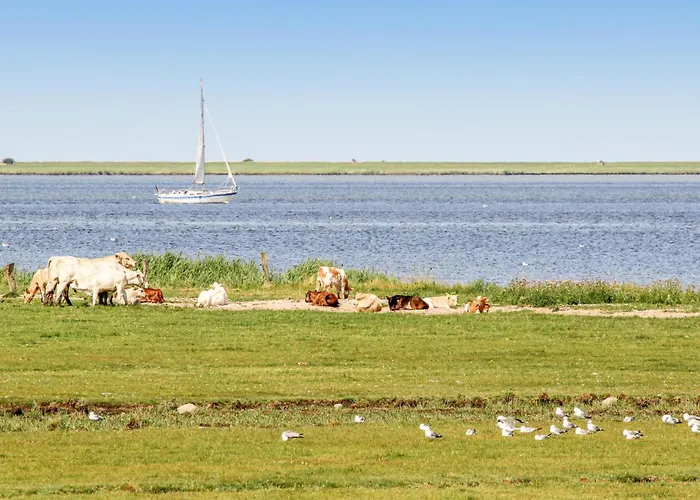 Casa vacanze Lieblingsplatz Olpenitz